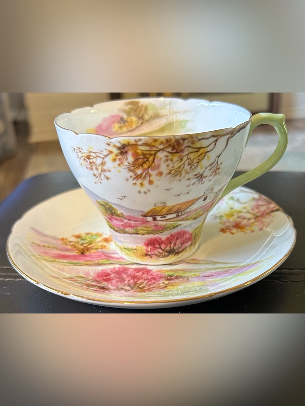 Vintage Floral Porcelain Teacup & Saucer in Pink and Green